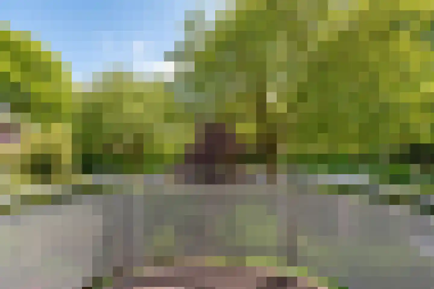 Dr. C.W.H. van Raaltenpark 10 Zaandam thumbnail 22