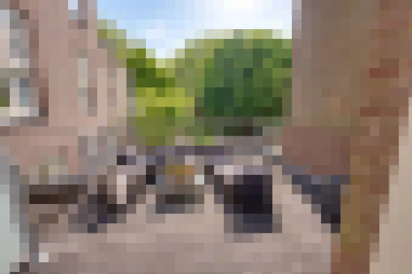 Dr. C.W.H. van Raaltenpark 10 Zaandam thumbnail 36