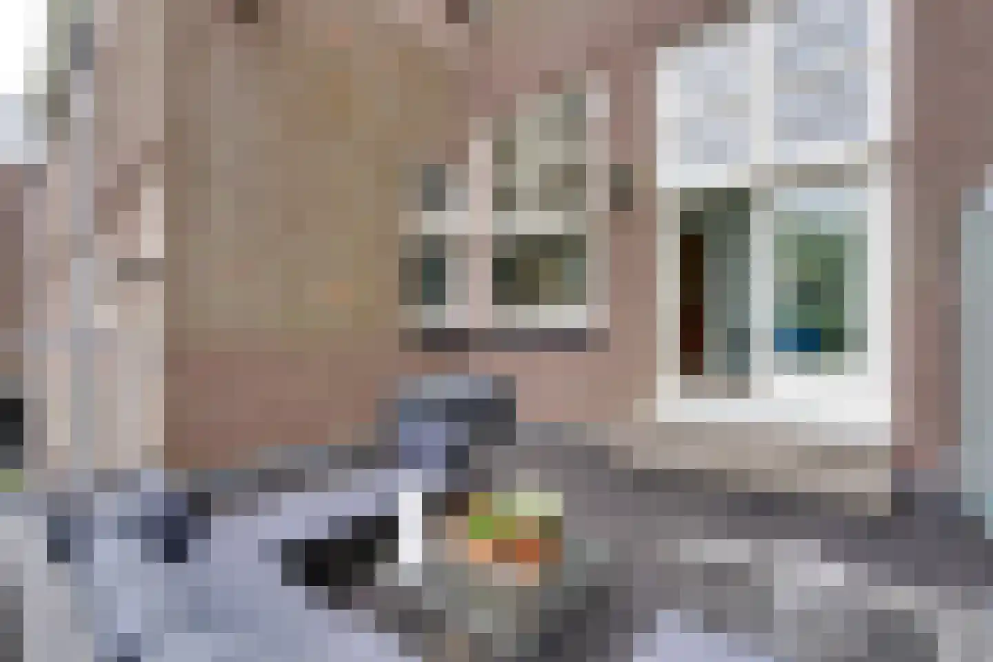Dr. C.W.H. van Raaltenpark 10 Zaandam thumbnail 38