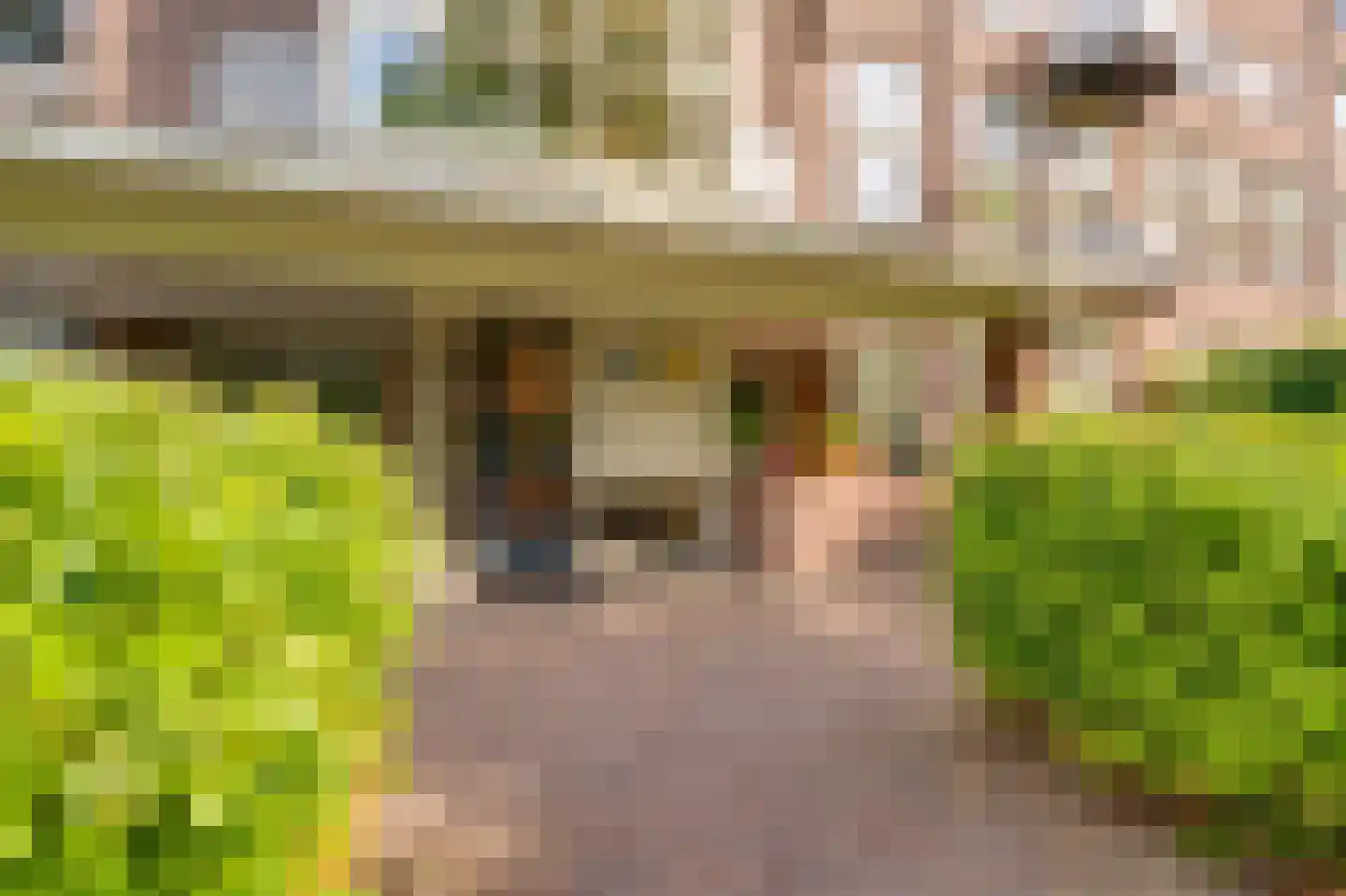 Dr. C.W.H. van Raaltenpark 10 Zaandam thumbnail 43