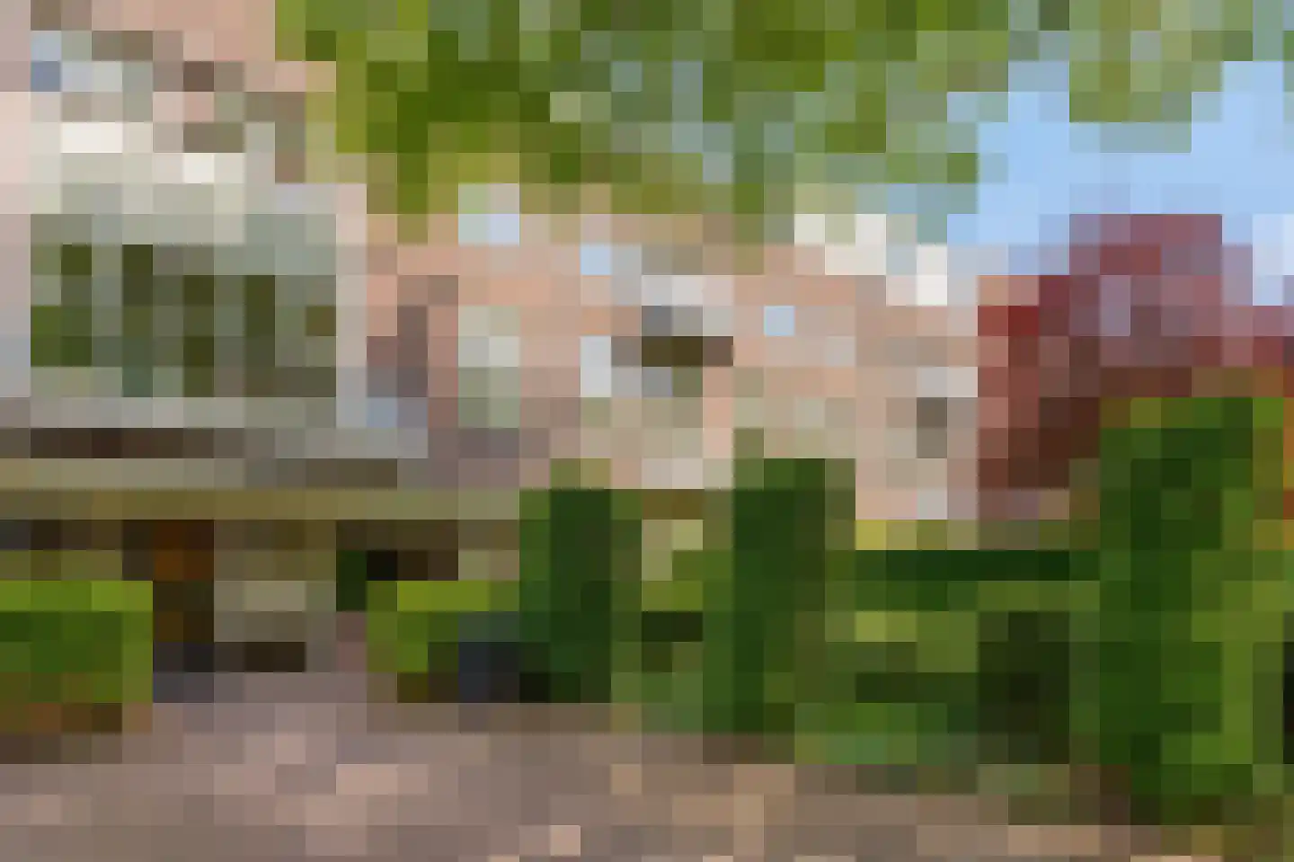 Dr. C.W.H. van Raaltenpark 10 Zaandam thumbnail 44