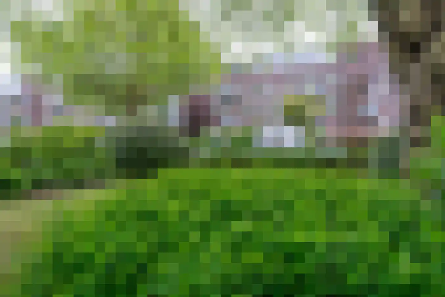 Dr. C.W.H. van Raaltenpark 10 Zaandam thumbnail 45