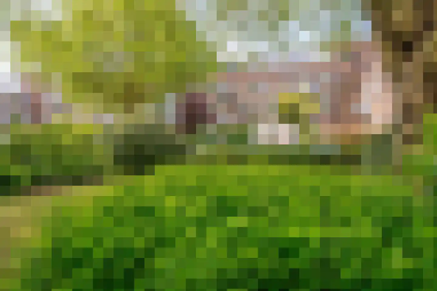 Dr. C.W.H. van Raaltenpark 10 Zaandam thumbnail 47