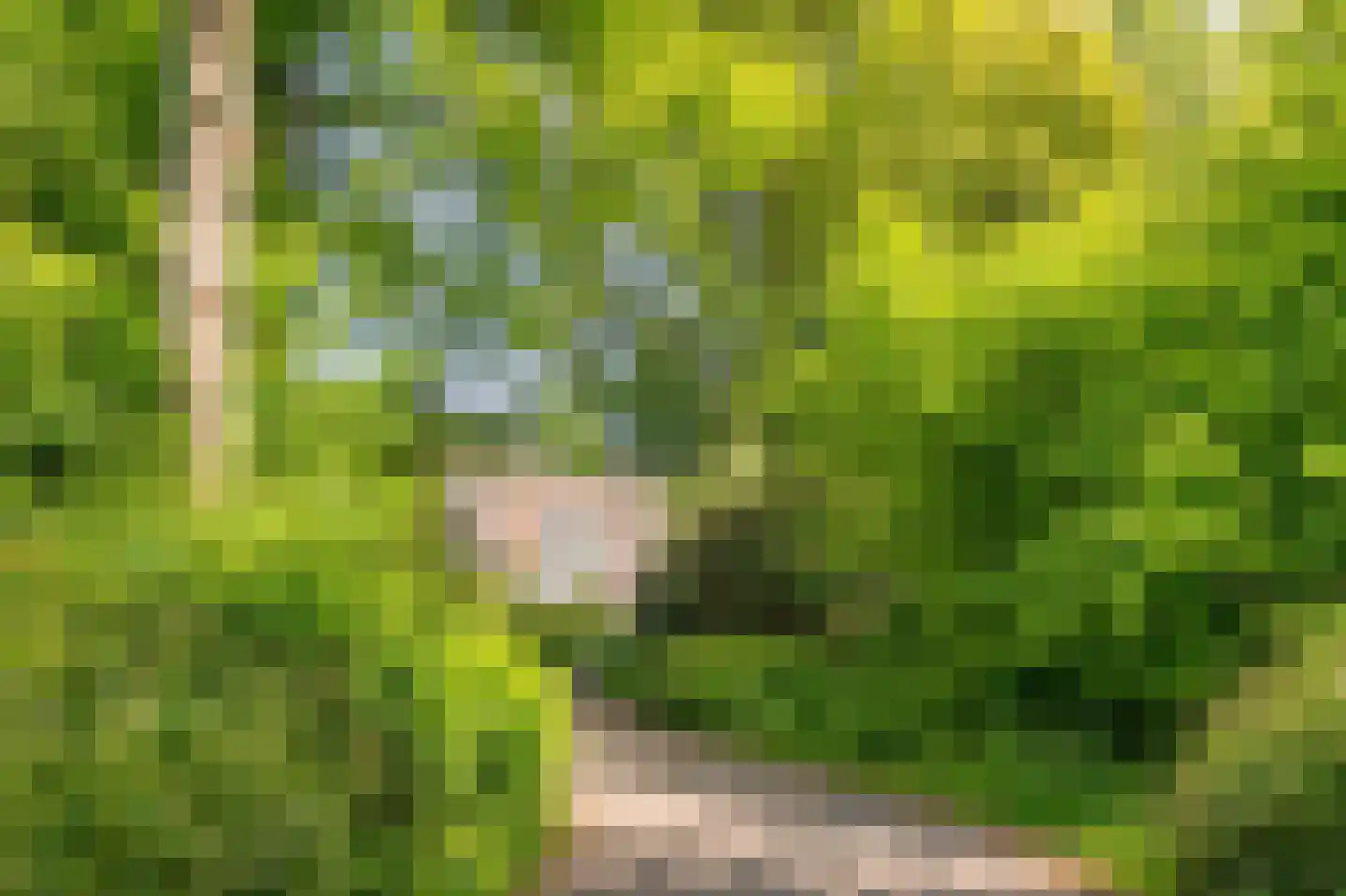 Dr. C.W.H. van Raaltenpark 10 Zaandam thumbnail 48