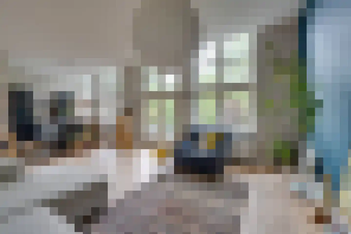 Dr. C.W.H. van Raaltenpark 10 Zaandam thumbnail 8