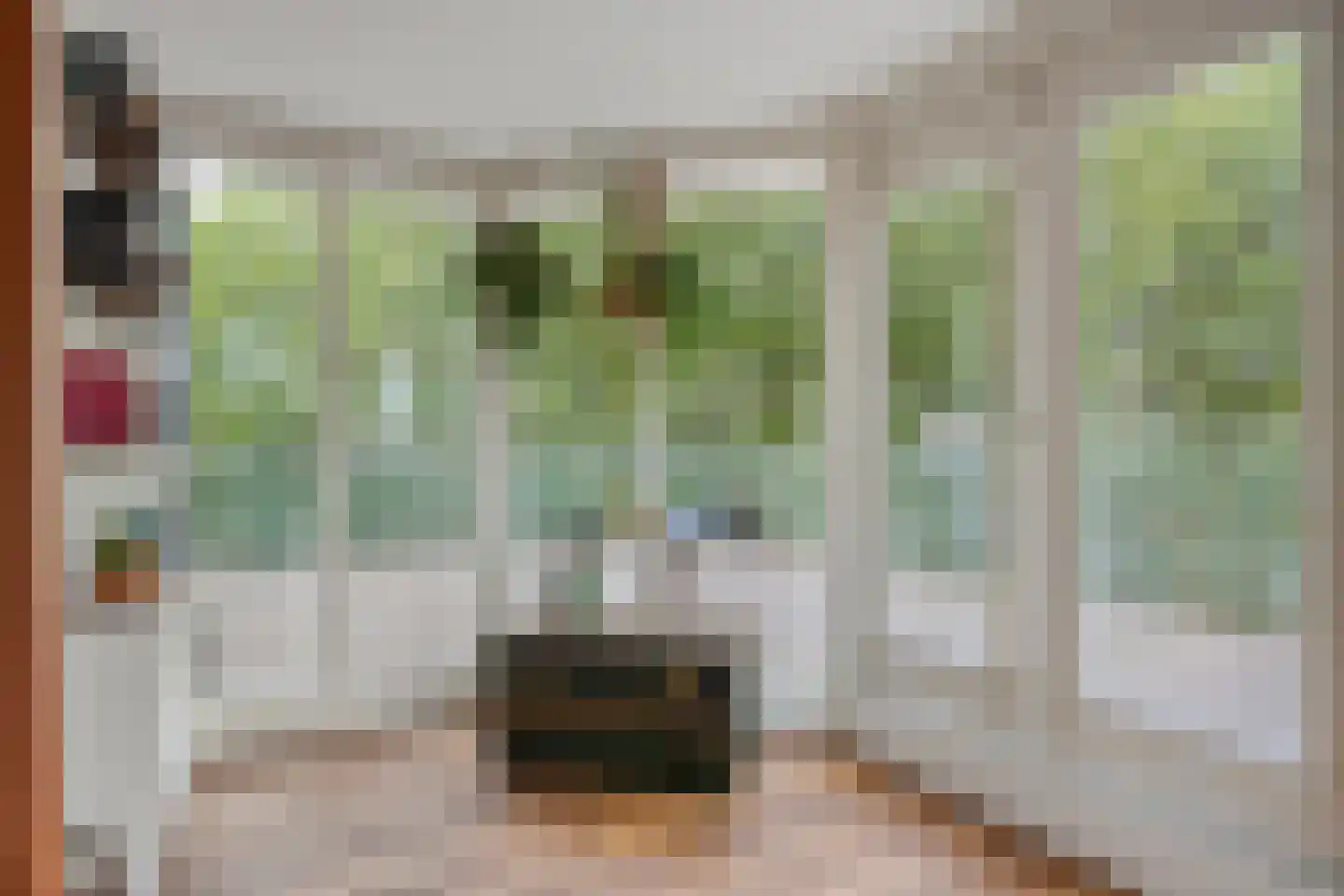 Dr. C.W.H. van Raaltenpark 13 Zaandam thumbnail 23