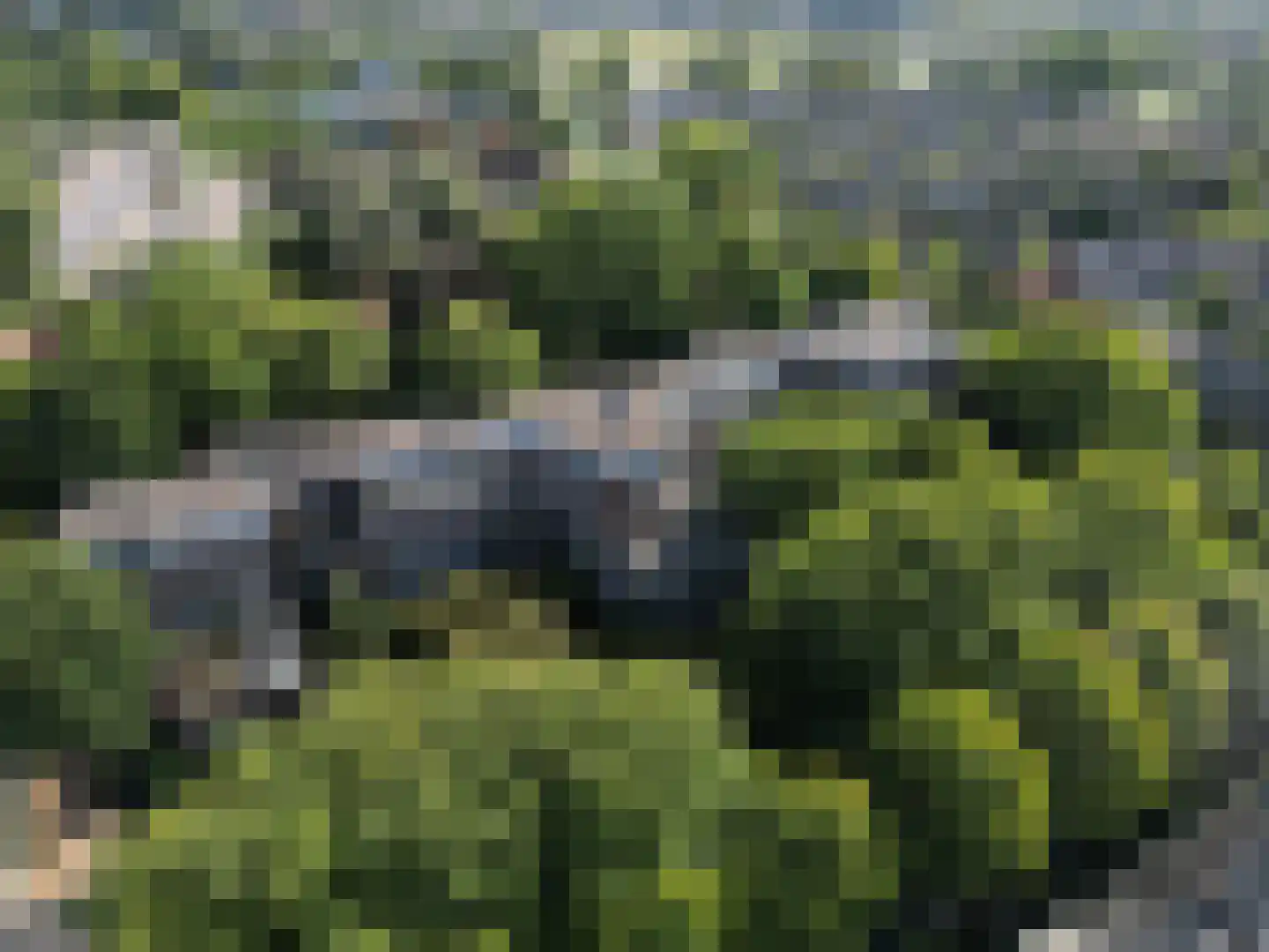 Dr. C.W.H. van Raaltenpark 13 Zaandam thumbnail 37