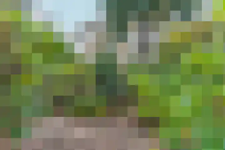 Dr. C.W.H. van Raaltenpark 20 Zaandam thumbnail 36