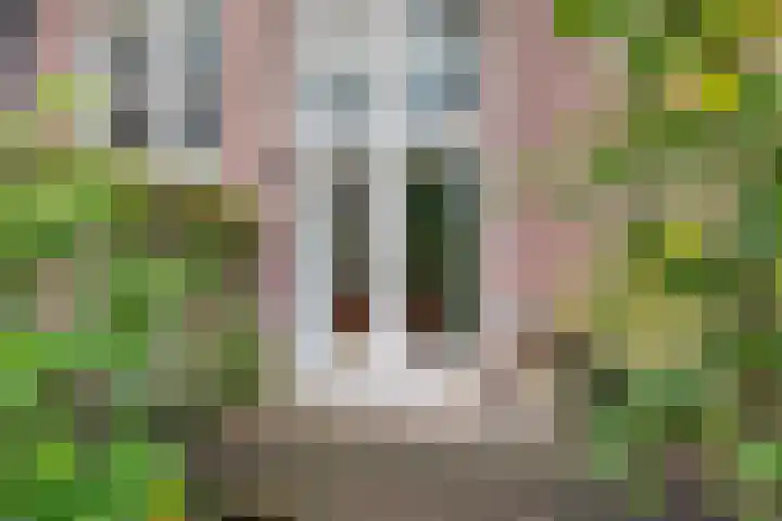 Dr. C.W.H. van Raaltenpark 20 Zaandam thumbnail 37