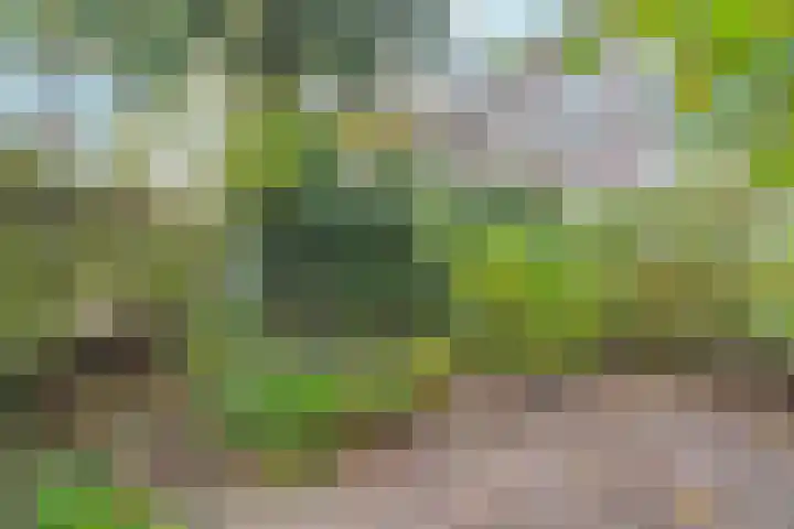 Dr. C.W.H. van Raaltenpark 20 Zaandam thumbnail 39