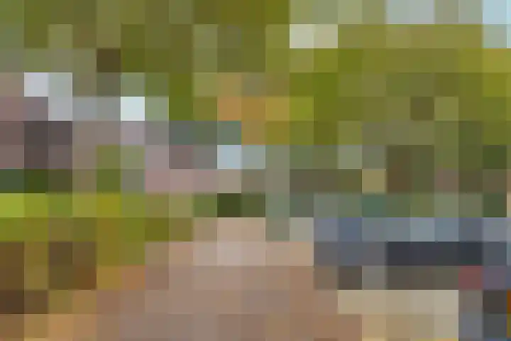 Dr. C.W.H. van Raaltenpark 20 Zaandam thumbnail 42
