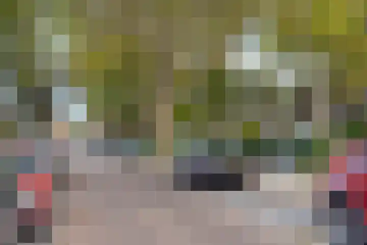Dr. C.W.H. van Raaltenpark 20 Zaandam thumbnail 45