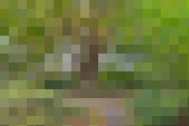 Dr. C.W.H. van Raaltenpark 20 Zaandam thumbnail 46