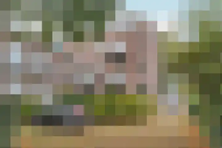 Dr. C.W.H. van Raaltenpark 20 Zaandam thumbnail 48