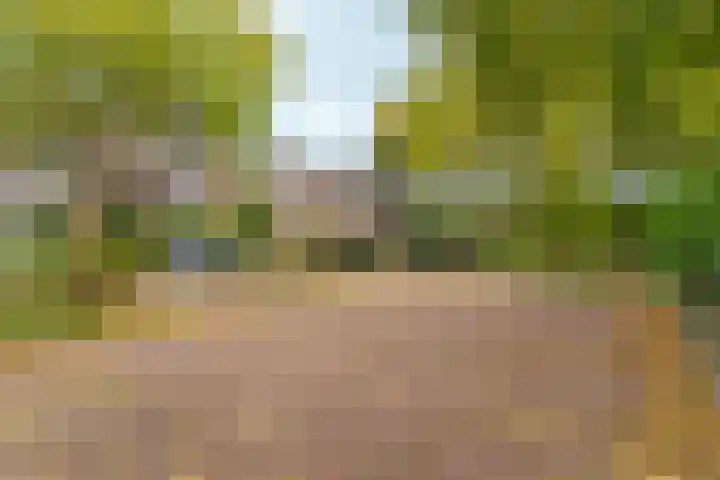 Dr. C.W.H. van Raaltenpark 20 Zaandam thumbnail 49
