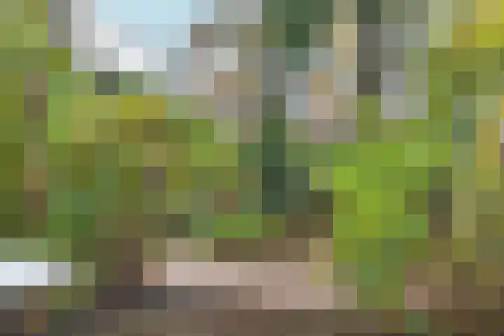 Dr. C.W.H. van Raaltenpark 20 Zaandam thumbnail 51