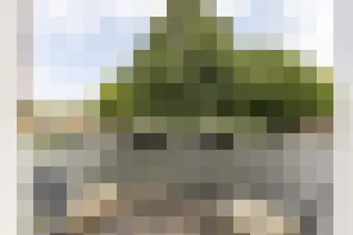 Dr. C.W.H. van Raaltenpark 23 Zaandam thumbnail 29