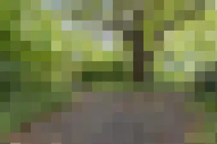 Dr. C.W.H. van Raaltenpark 23 Zaandam thumbnail 31
