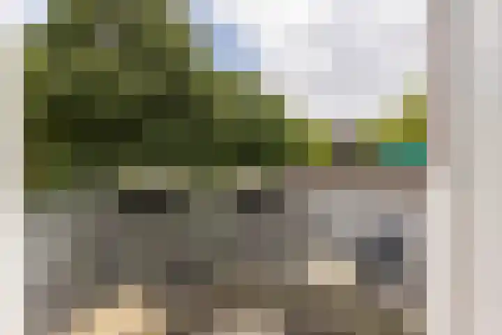 Dr. C.W.H. van Raaltenpark 23 Zaandam thumbnail 5