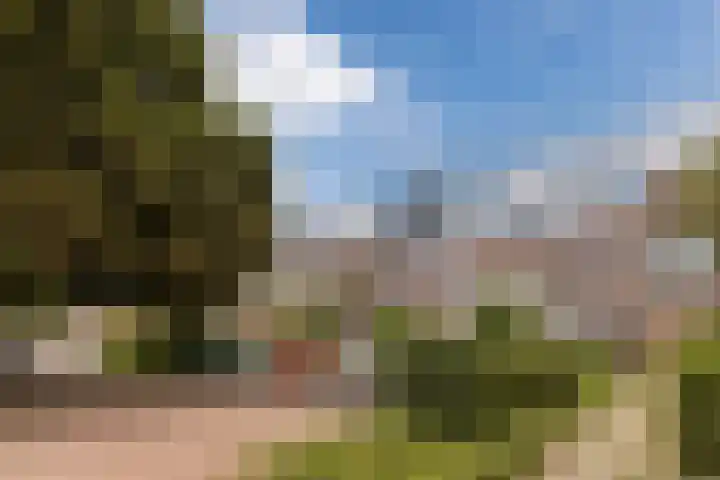 Dr. C.W.H. van Raaltenpark 23 Zaandam thumbnail 6