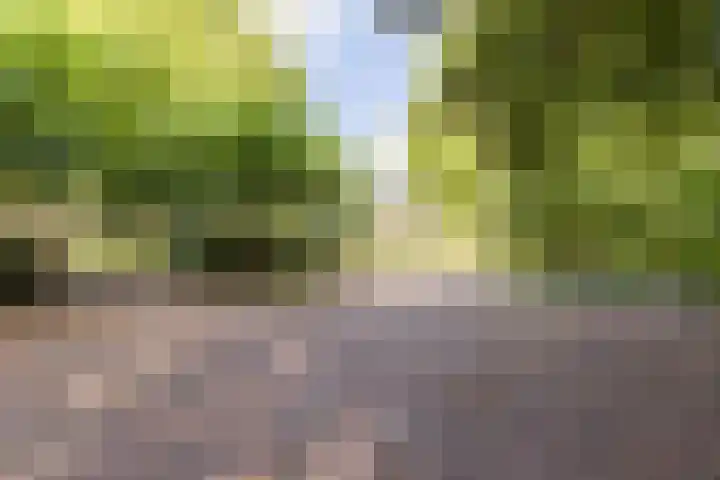 Dr. C.W.H. van Raaltenpark 23 Zaandam thumbnail 7