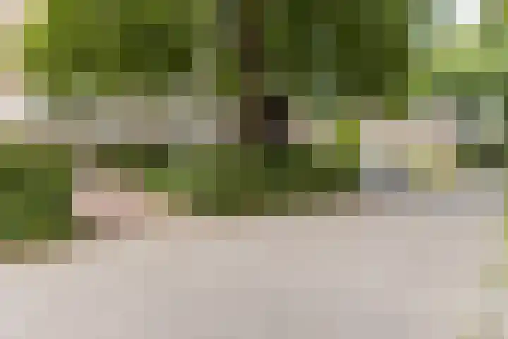 Dr. C.W.H. van Raaltenpark 23 Zaandam thumbnail 8