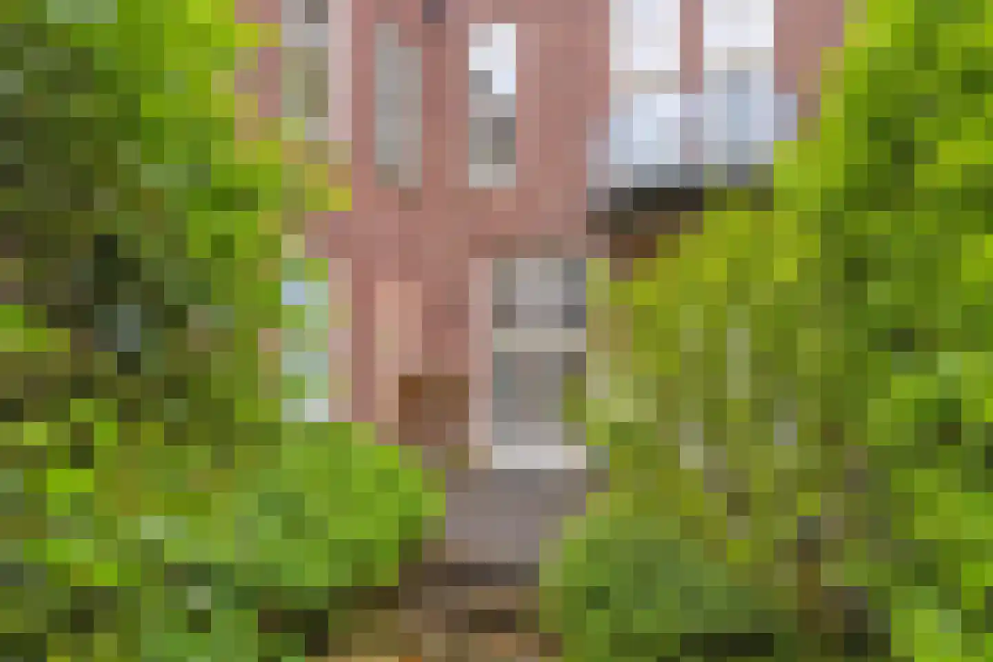 Dr. C.W.H. van Raaltenpark 49 Zaandam thumbnail 37