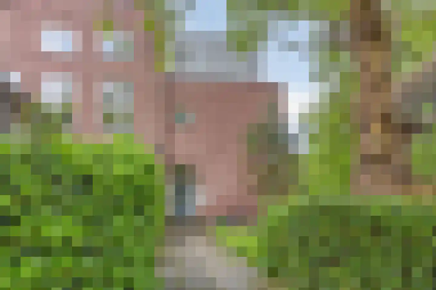 Dr. C.W.H. van Raaltenpark 49 Zaandam thumbnail 41