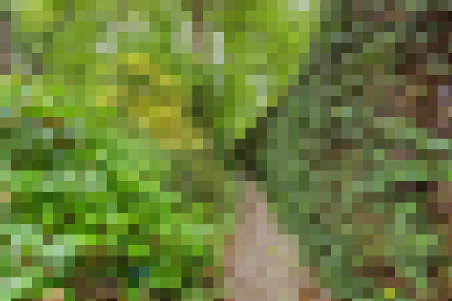 Dr. C.W.H. van Raaltenpark 49 Zaandam thumbnail 47