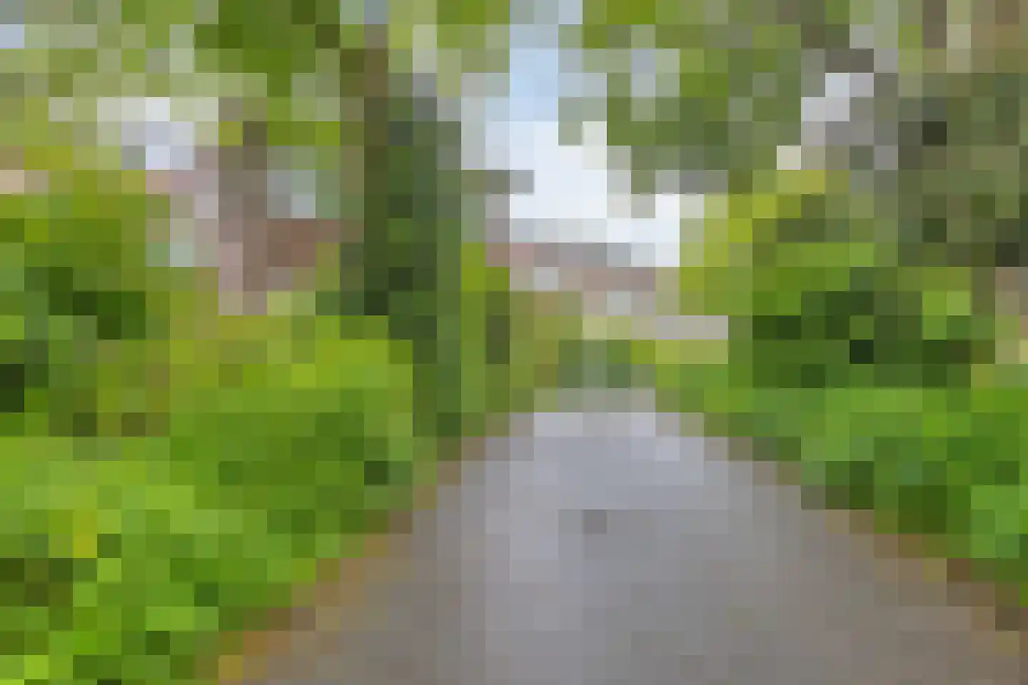 Dr. C.W.H. van Raaltenpark 49 Zaandam thumbnail 49