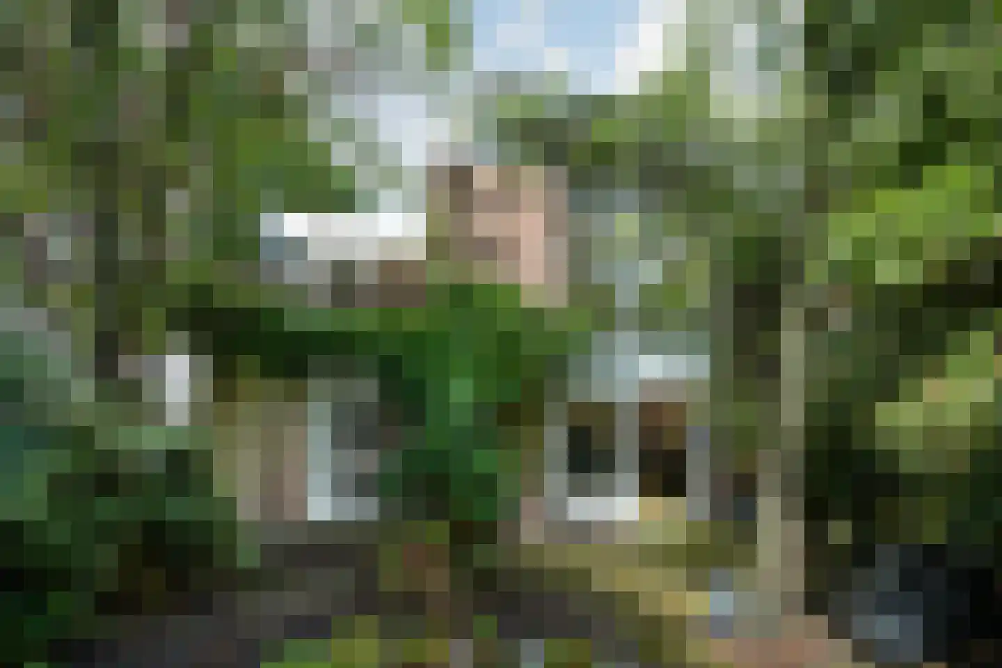 Dr. C.W.H. van Raaltenpark 56 Zaandam