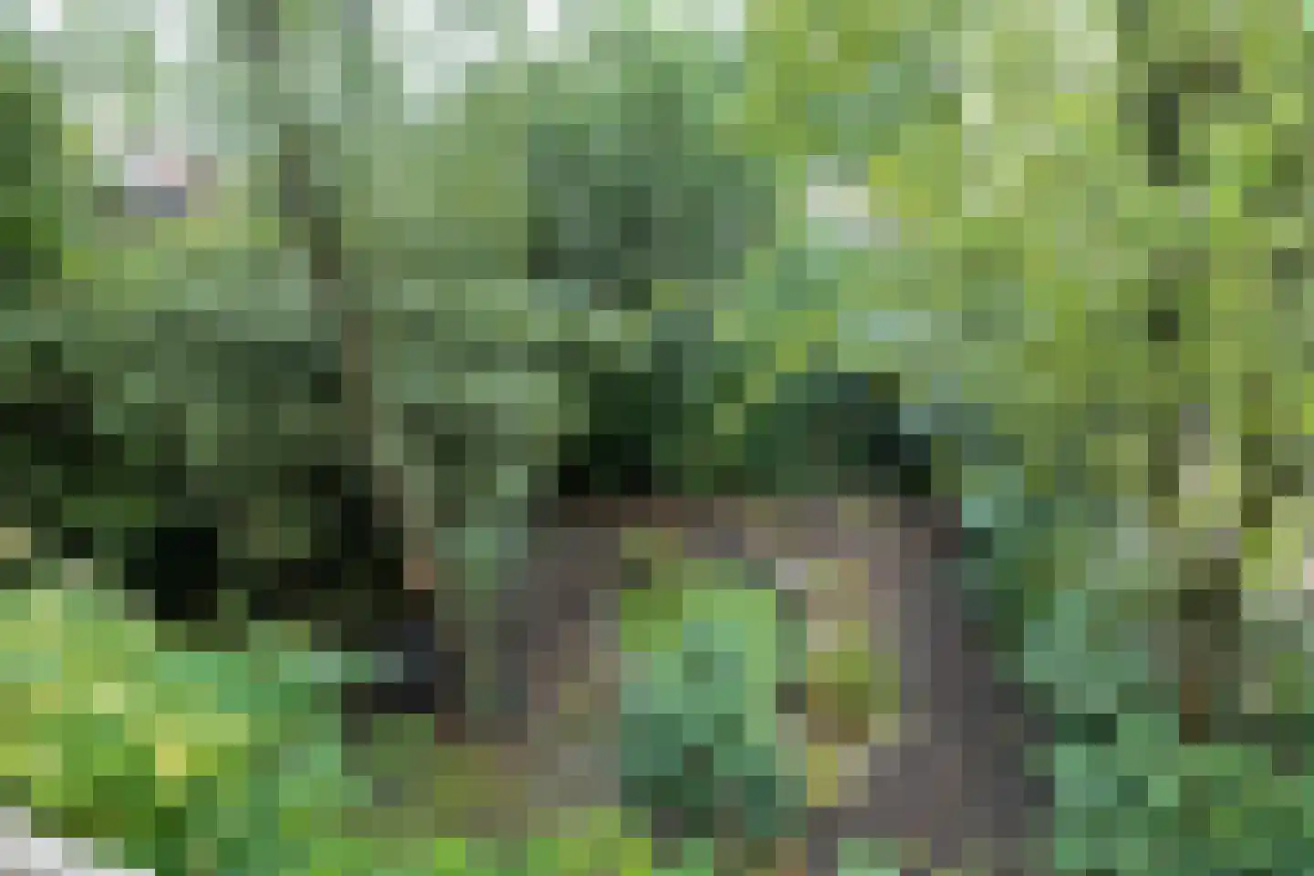 Dr. C.W.H. van Raaltenpark 56 Zaandam thumbnail 28