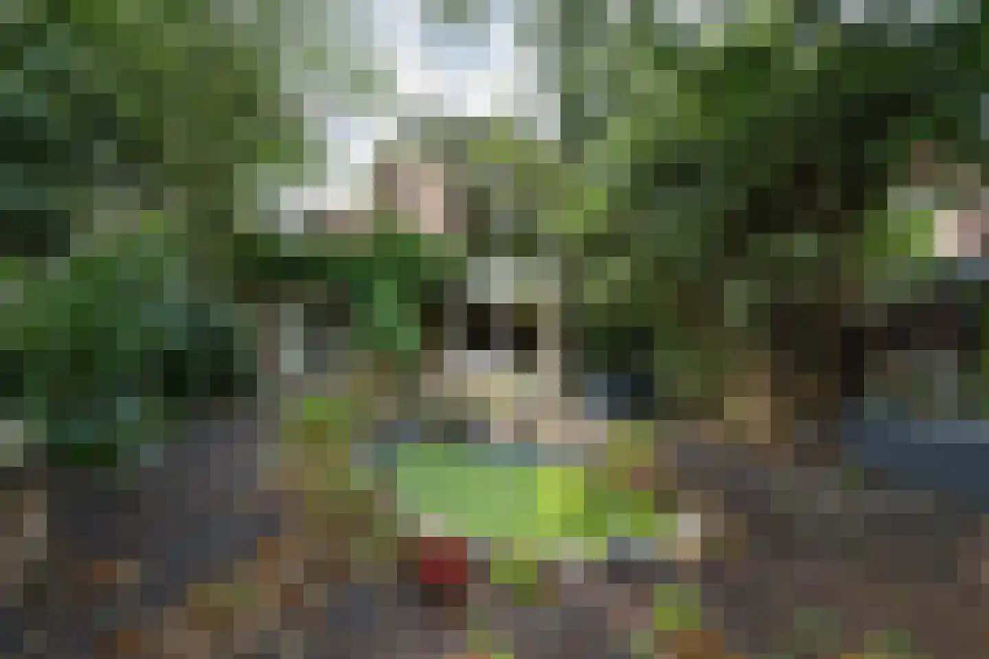 Dr. C.W.H. van Raaltenpark 56 Zaandam thumbnail 33