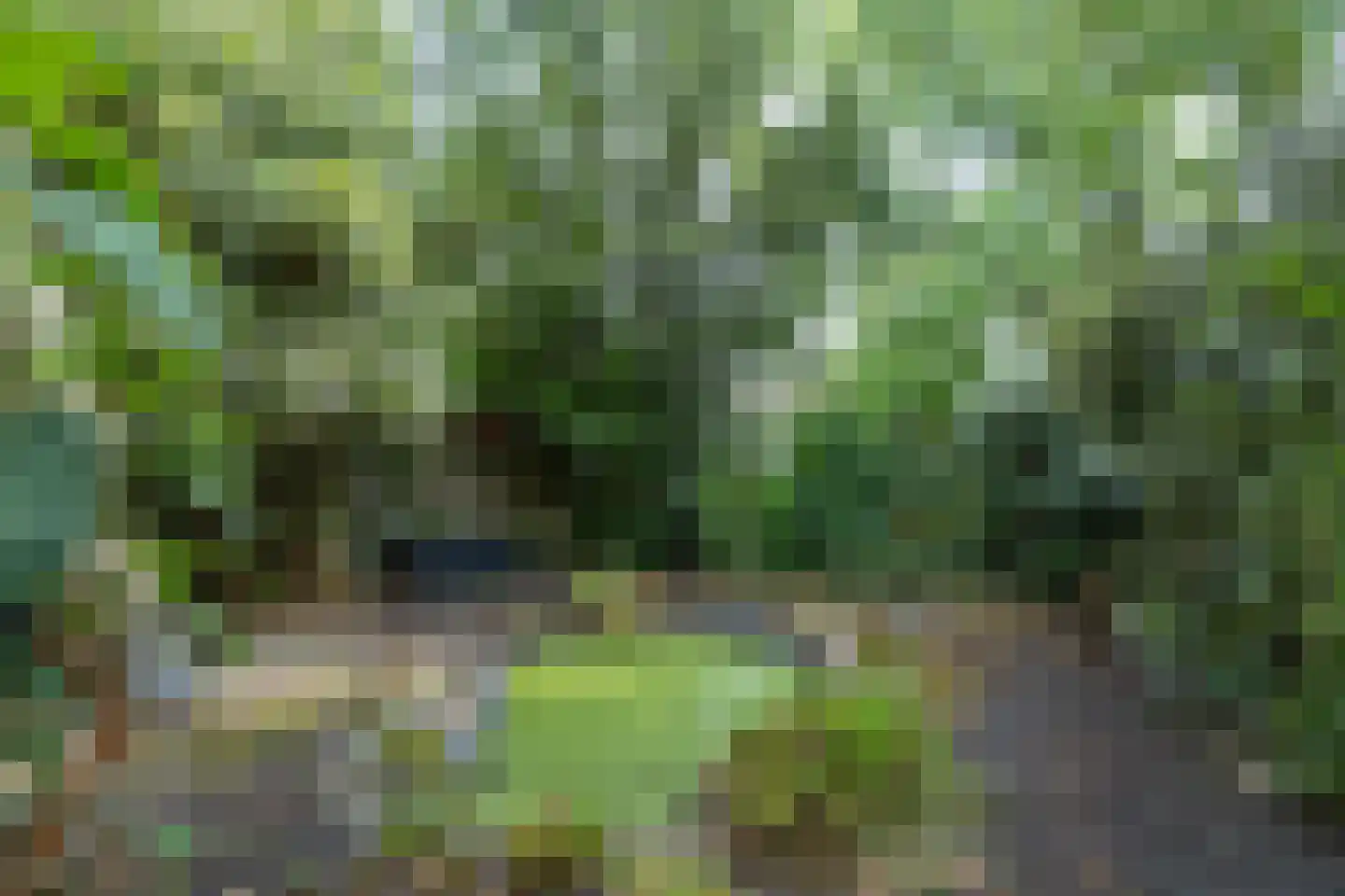 Dr. C.W.H. van Raaltenpark 56 Zaandam thumbnail 34