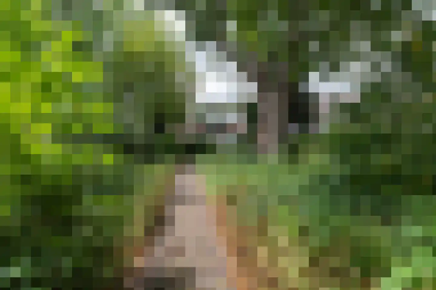 Dr. C.W.H. van Raaltenpark 56 Zaandam thumbnail 38