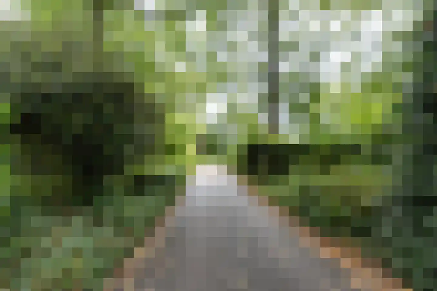Dr. C.W.H. van Raaltenpark 56 Zaandam thumbnail 39