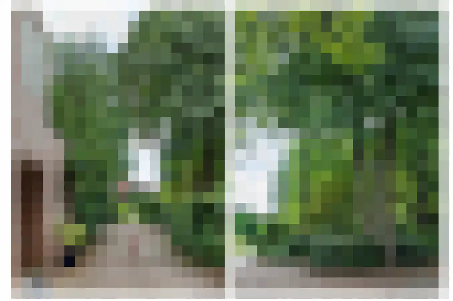 Dr. C.W.H. van Raaltenpark 56 Zaandam thumbnail 4