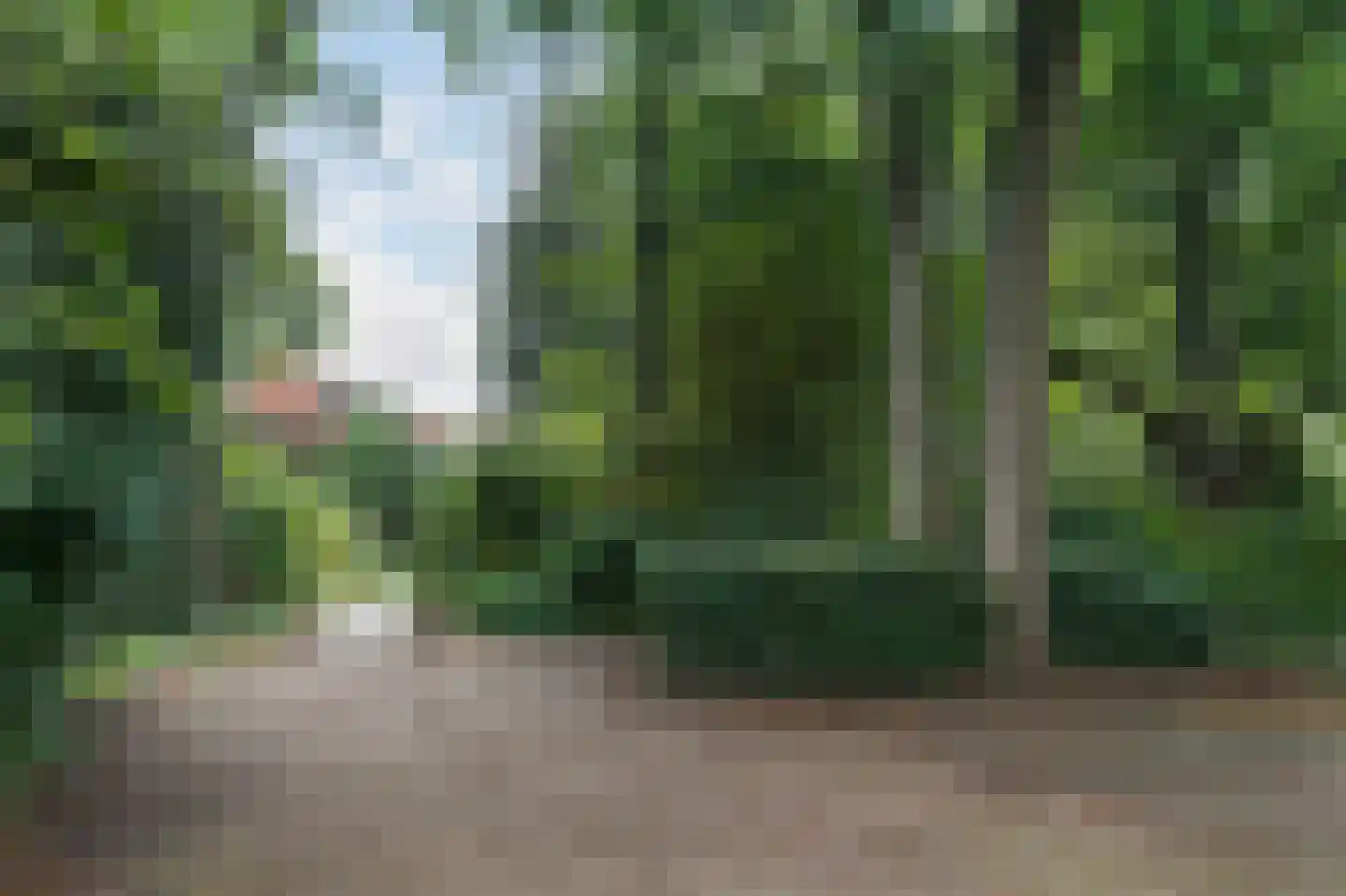 Dr. C.W.H. van Raaltenpark 56 Zaandam thumbnail 40