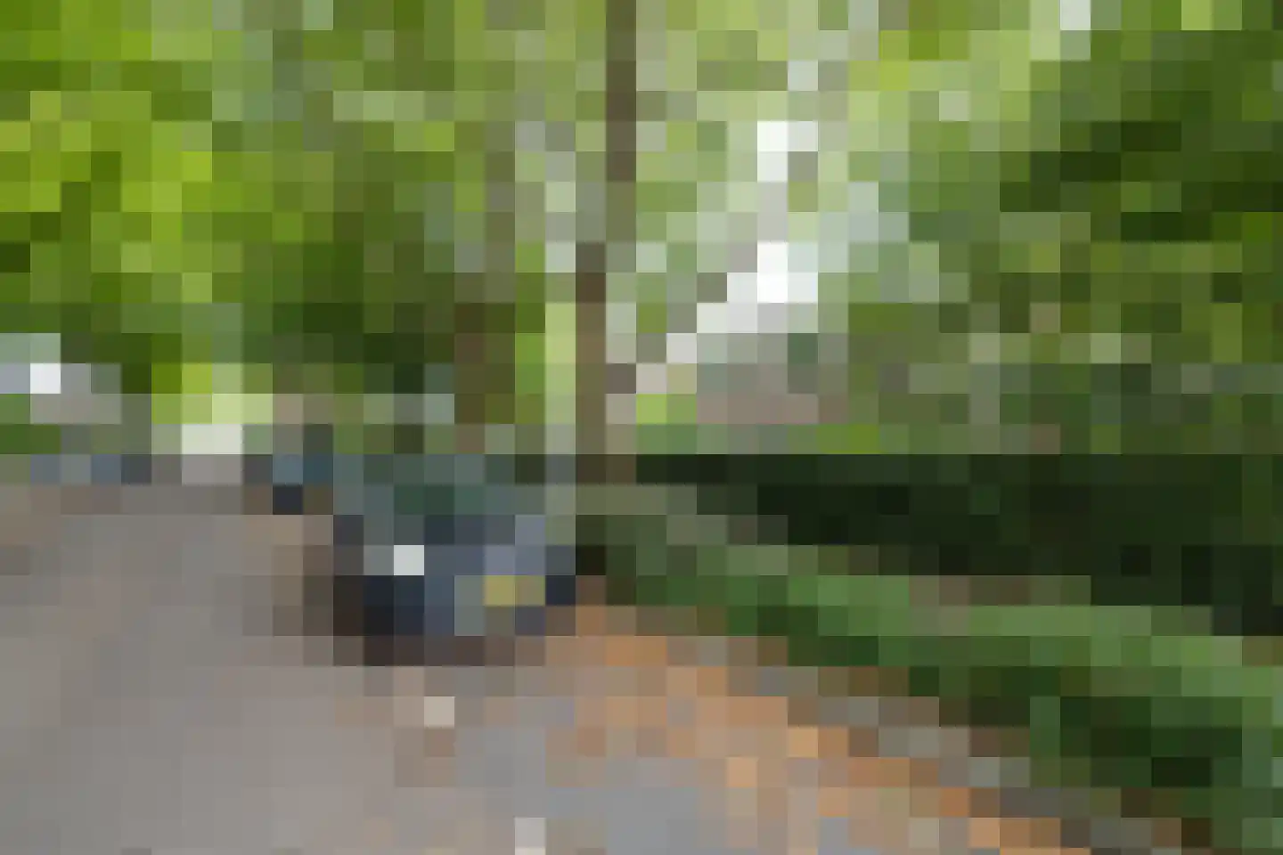 Dr. C.W.H. van Raaltenpark 56 Zaandam thumbnail 41