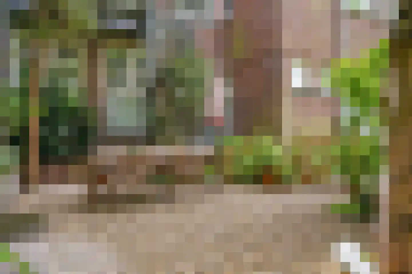 Dr. C.W.H. van Raaltenpark 6 Zaandam thumbnail 25