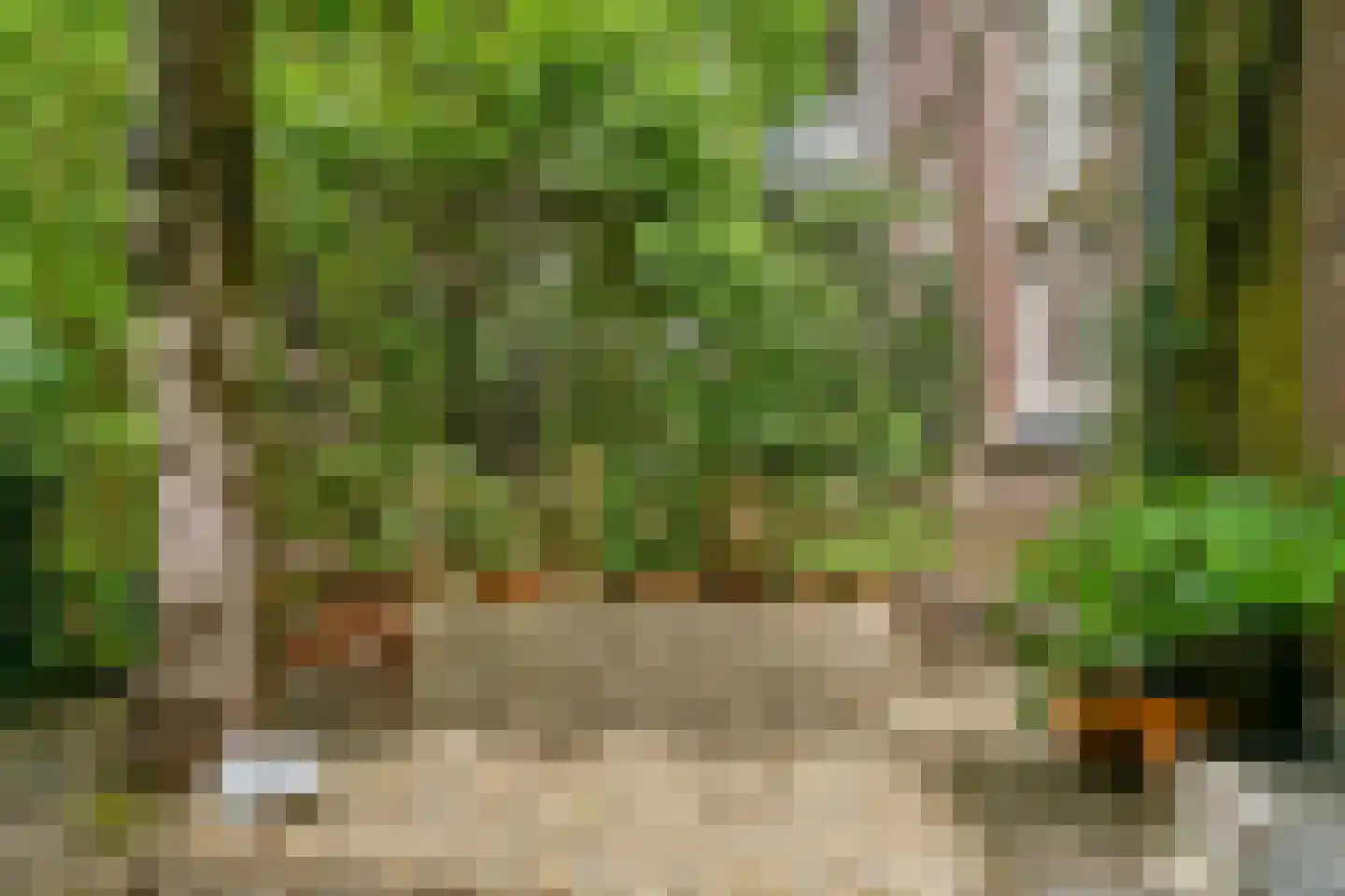 Dr. C.W.H. van Raaltenpark 6 Zaandam thumbnail 27