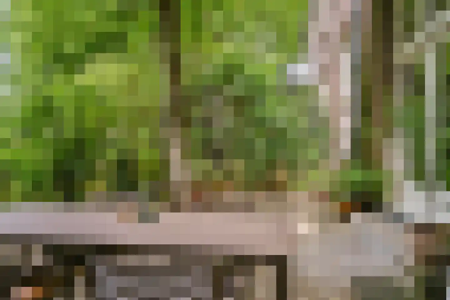 Dr. C.W.H. van Raaltenpark 6 Zaandam thumbnail 28