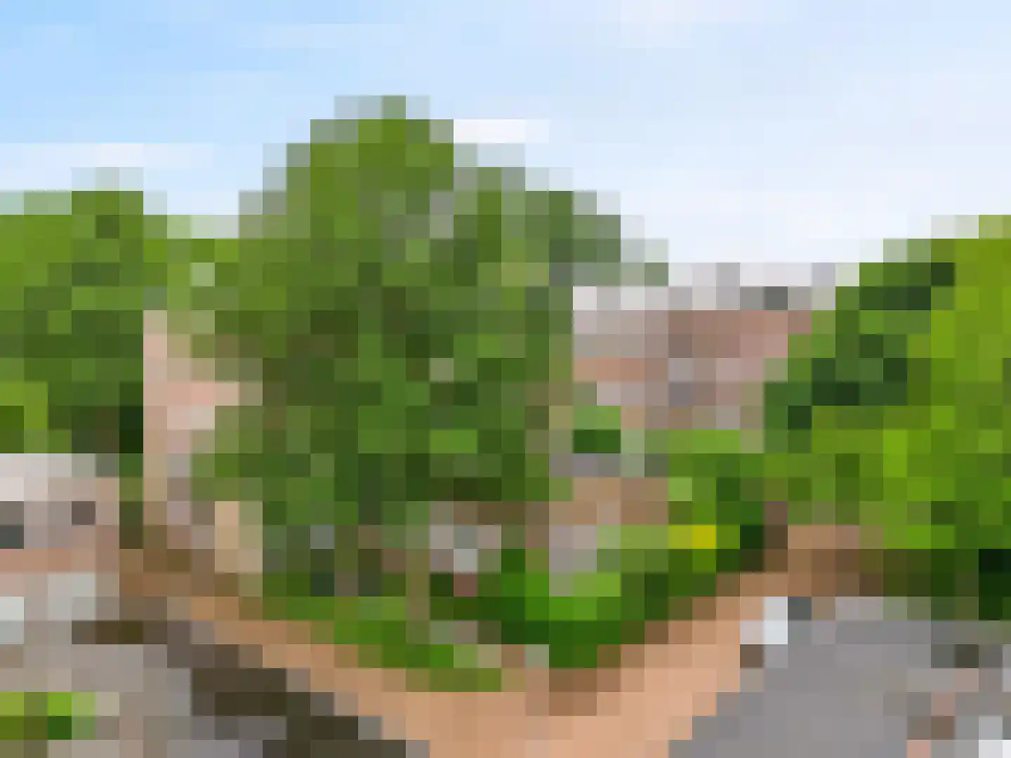 Dr. C.W.H. van Raaltenpark 6 Zaandam thumbnail 35