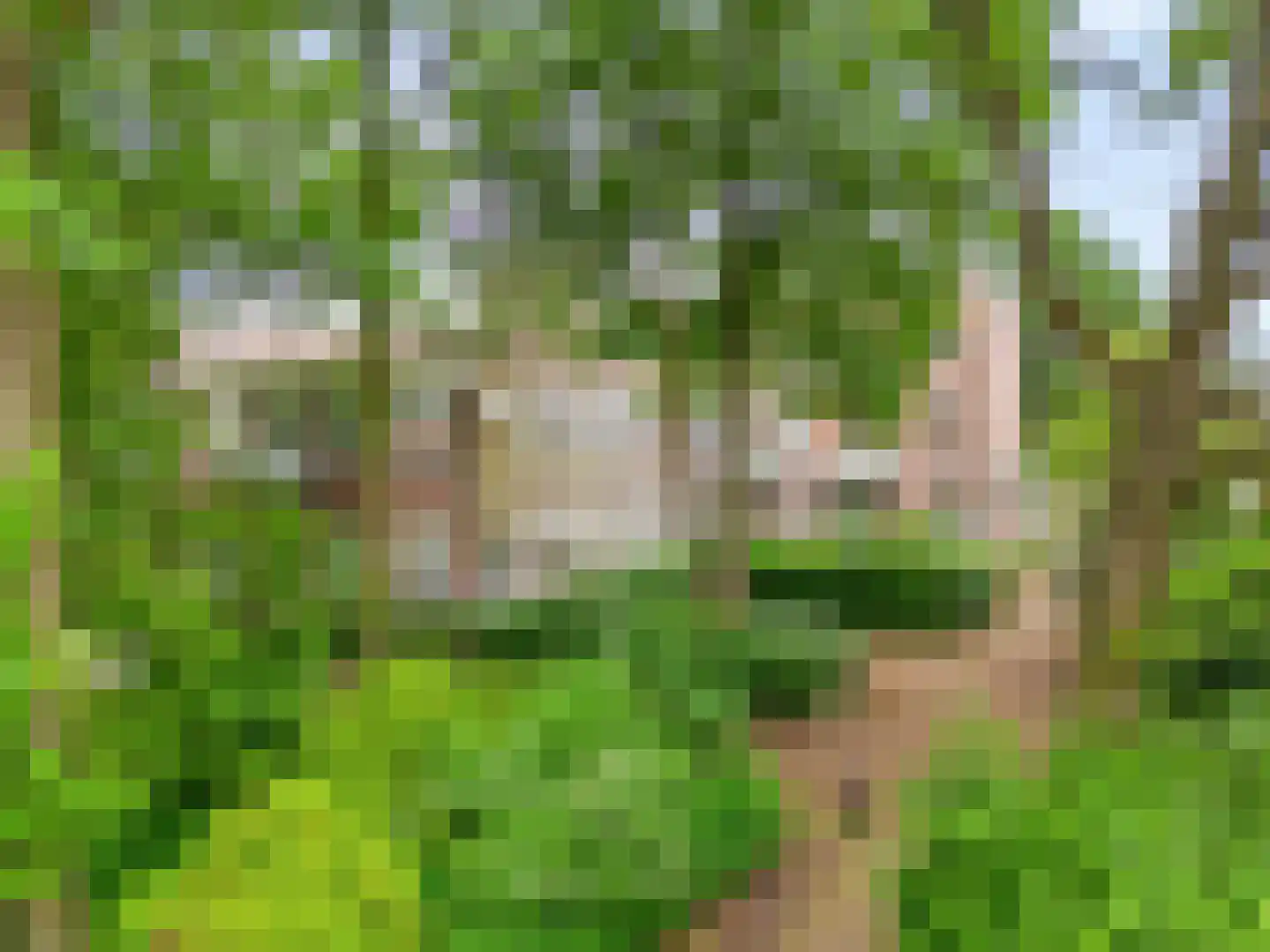 Dr. C.W.H. van Raaltenpark 6 Zaandam thumbnail 36