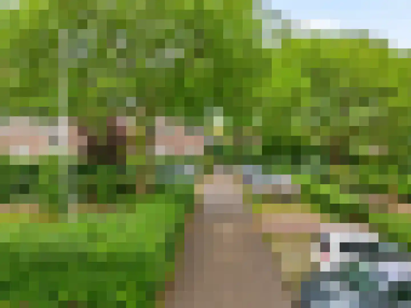 Dr. C.W.H. van Raaltenpark 6 Zaandam thumbnail 38