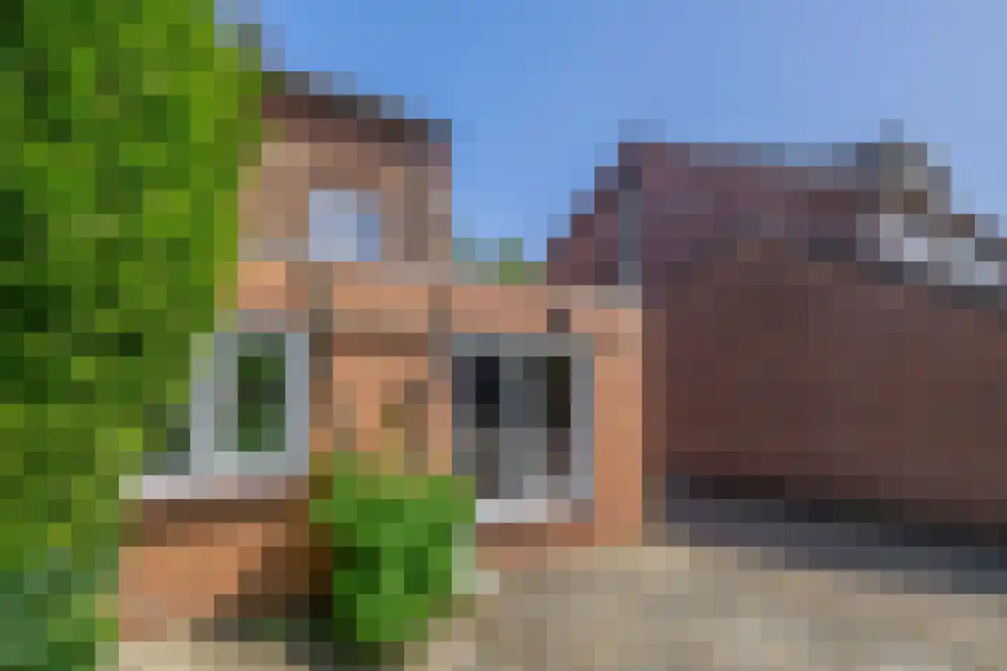 Dr. Calsstraat 14 Landgraaf thumbnail 20