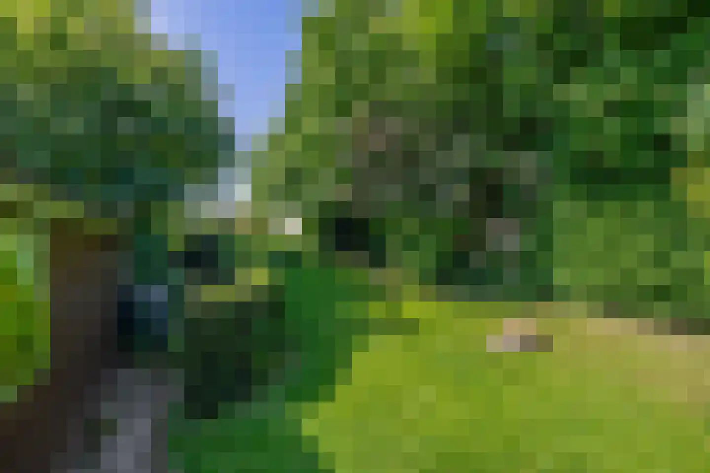 Dr. Calsstraat 14 Landgraaf thumbnail 24
