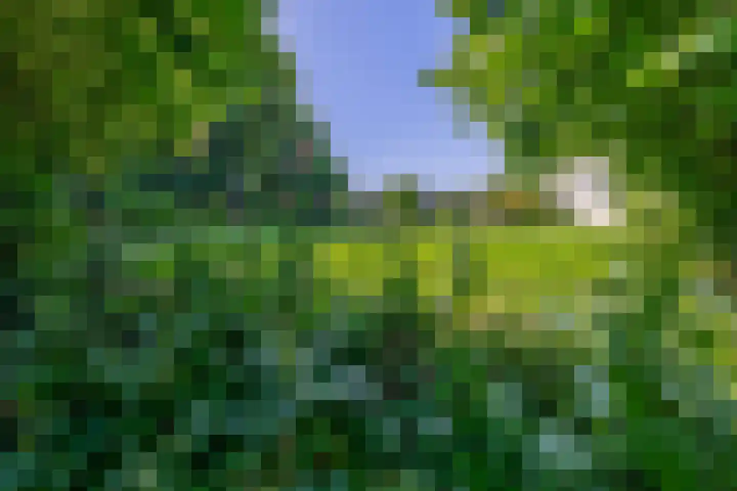 Dr. Calsstraat 14 Landgraaf thumbnail 25