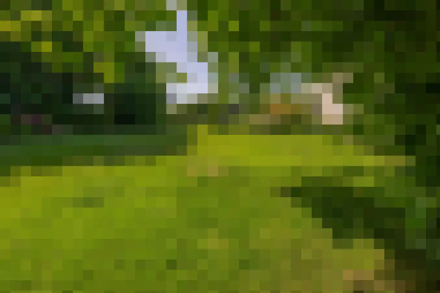 Dr. Calsstraat 14 Landgraaf thumbnail 27