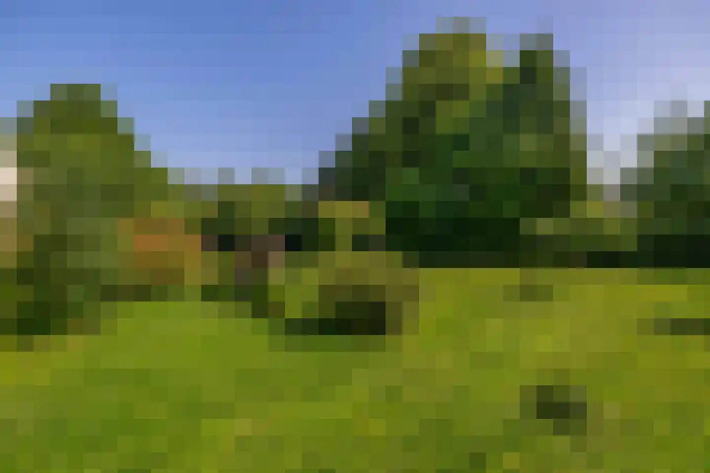 Dr. Calsstraat 14 Landgraaf thumbnail 32